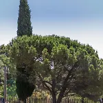Βίλα La Dimora Del Con Piscina Nicolosi