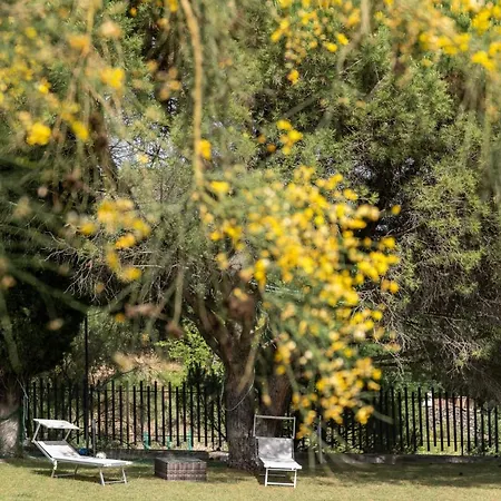 La Dimora Del Con Piscina