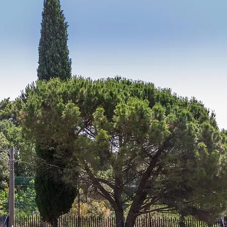 Villa La Dimora Del Con Piscina Nicolosi