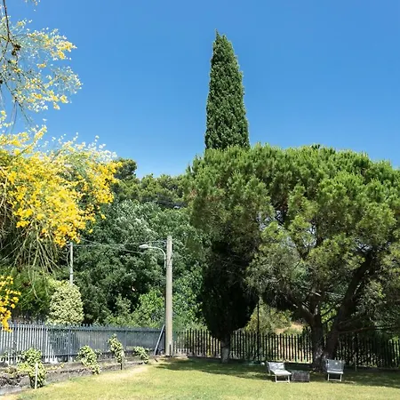 La Dimora Del Con Piscina Villa Nicolosi
