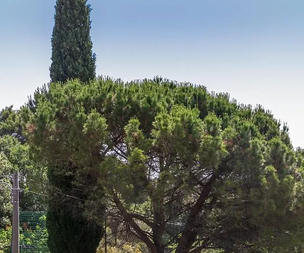 Villa La Dimora Del Con Piscina Nicolosi