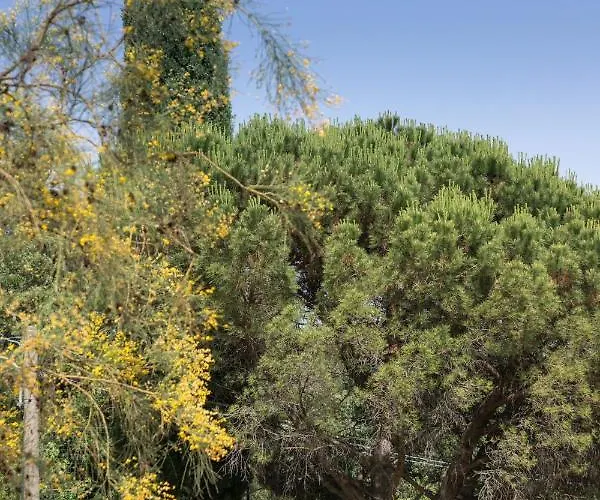 La Dimora Del Con Piscina * Nicolosi