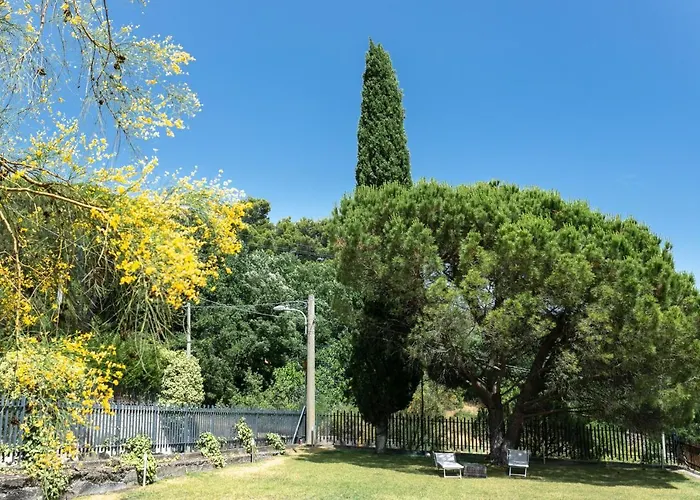 La Dimora Del Con Piscina Villa Nicolosi